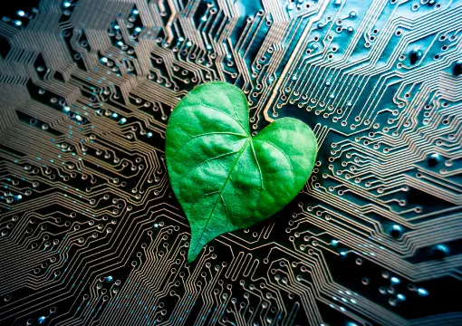 新宝娱乐平台案例